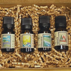 Peut inclure: Quatre petites bouteilles en verre foncé avec des bouchons noirs, chacune avec une étiquette de style vintage. Les étiquettes représentent des paysages et sont disposées dans une boîte en carton remplie de papier déchiqueté. Les étiquettes incluent les mots "Provence", "Madagascar", "Côte-nord" et "Laponie".