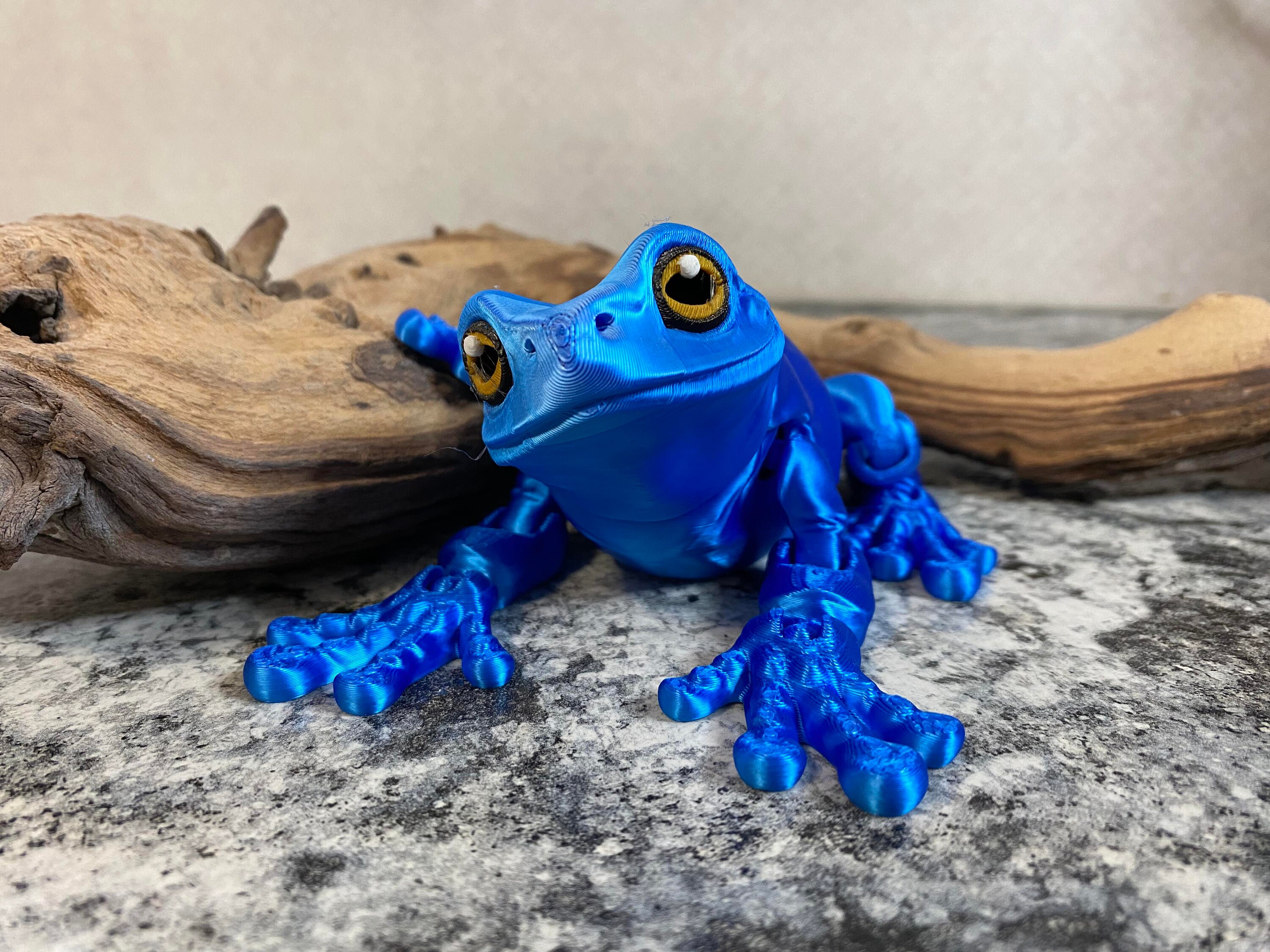 3D Printed Fully Articulating Frog, Gifts for Frog Lovers, Amphibian, Fidget Toys, Sensory Toy