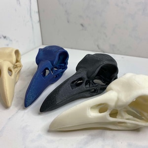 3D Printed Raven Skull: Spooky Halloween Curiosity Decor