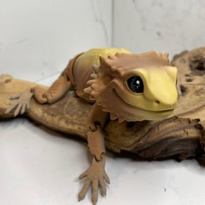 3D Printed Articulating Bearded Dragon: Posable Fidget Lizard Toy