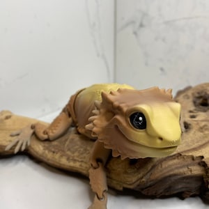3D Printed Bearded Dragon, Fully Articulating, Fidget Toy, Vibrant Lizard, Lizard Toy, Posable