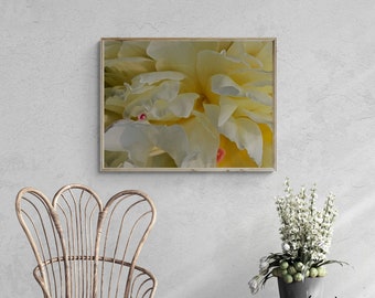 Arte de pared abstracto floral, Arte de pared con foto de peonía blanca, Arte de pared horizontal, Arte de pared con foto de peonía floral abstracta
