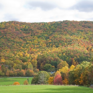 Wunderschöne bunte Bäume auf Virginia Mountains im Herbstwald -- Leinwand oder Fotodruck