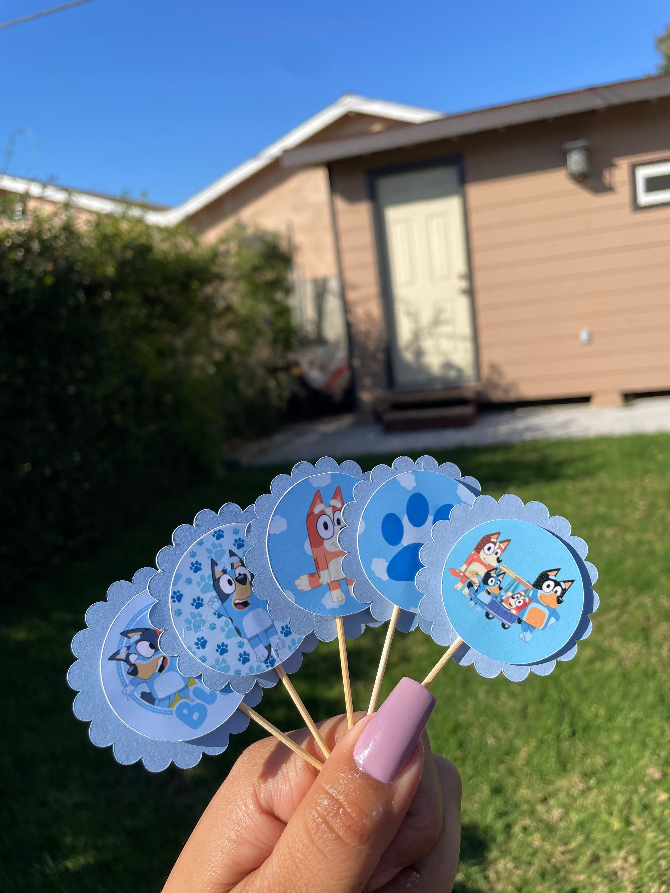 Bluey Cupcake Toppers (Set of 12)
