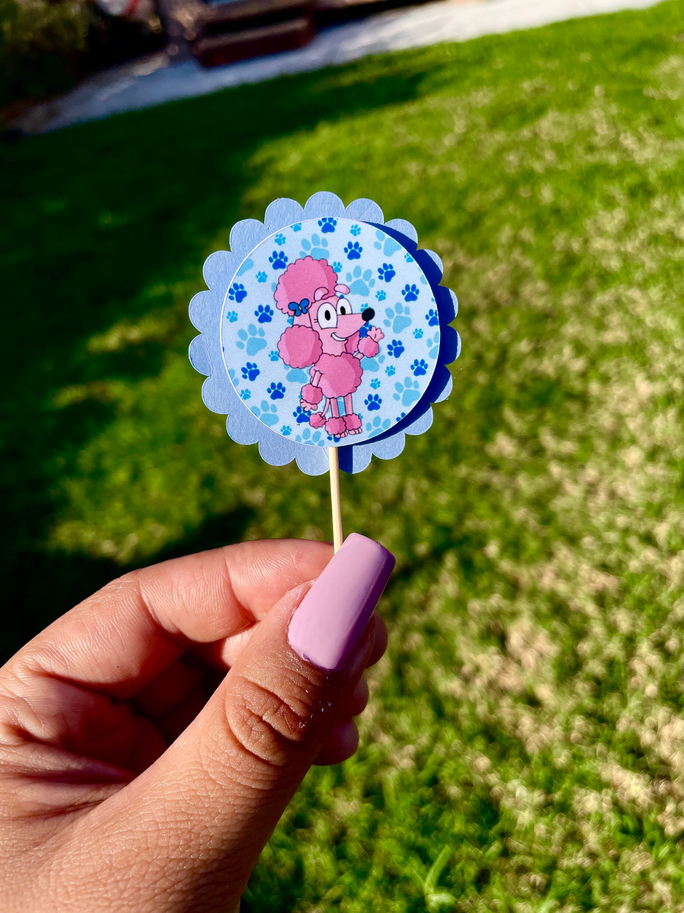 Bluey Cupcake Toppers (Set of 12)