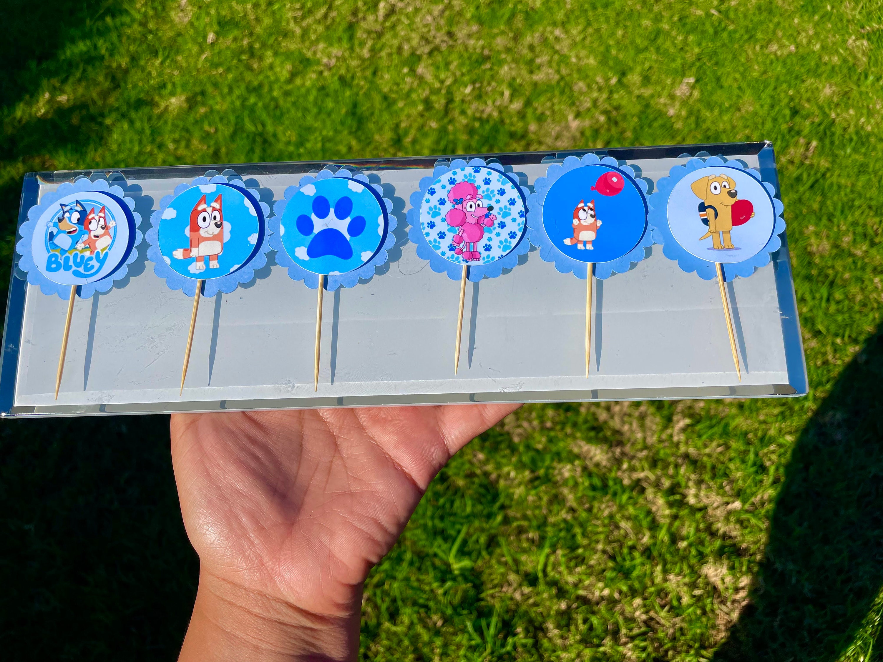Bluey Cupcake Toppers (Set of 12)