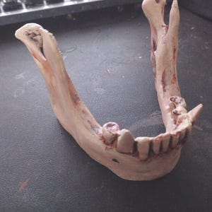 Vampire Jaw Bone Phone Stand
