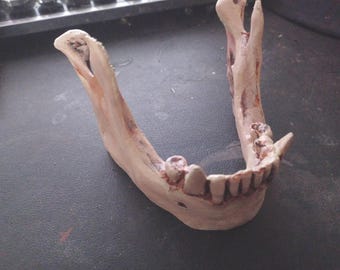 Vampire Jaw Bone Phone Stand