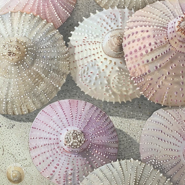 Living Room Wall Art And Crafts - Sea Urchin Collection, Muted Beiges, Pinks, Grays Correct Aspect Ratio for 8x10, 16x20,24x30 Inch Printing