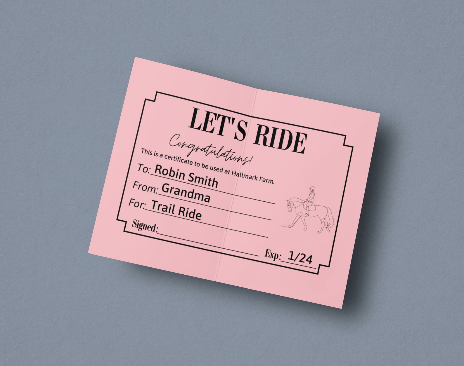 Horseback Riding Gift Certificate Horse Lessons Gift Voucher Horseback Riding Gift Certificate Horse Lessons Gift Voucher