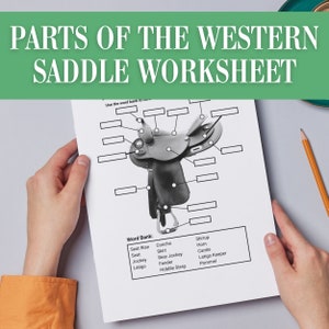 Parts of the Horses Western Saddle | Horse Tack Equipment Label | Equestrian Horse Camp Worksheet Activity | Horse Game Homeschool Print PDF