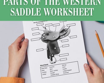 Partes de los caballos Silla de montar occidental / Etiqueta del equipo de arreo para caballos / Actividad de la hoja de trabajo del campamento de caballos ecuestres / Juego de caballos Educación en el hogar Imprimir PDF