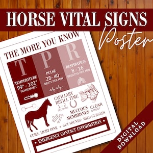 Poster van de vitale functies van het paard | Schuur noodcontactinformatiebord | Referentieblad veterinaire feiten over paarden | Dierenarts paard print | Paarden TPR