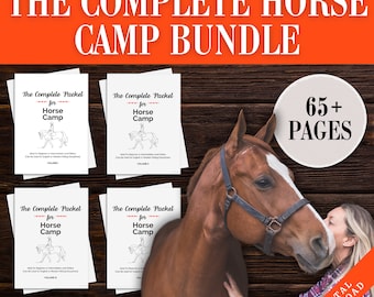 Horse Camp Activity Worksheet | Horseback Riding Lesson Plan | Equestrian Homeschool Printable | Equine Learning Education Download | Summer