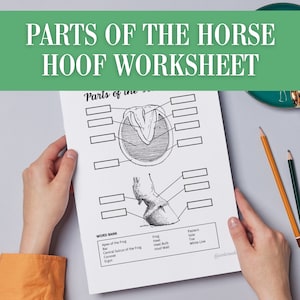 Label Parts of the Horse Hoof Homeschool Download Printable | Horseback Riding Lessons | Equestrian Learning Equine Veterinary Foot Diagrams