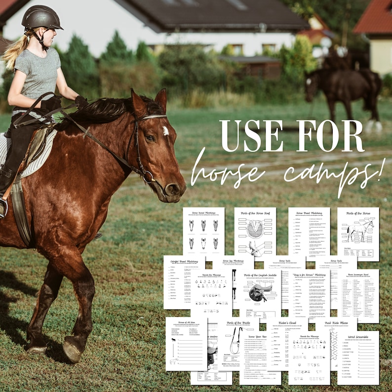 Horse Camp Worksheet Bundle Horseback Riding Lesson Rain Day Activity