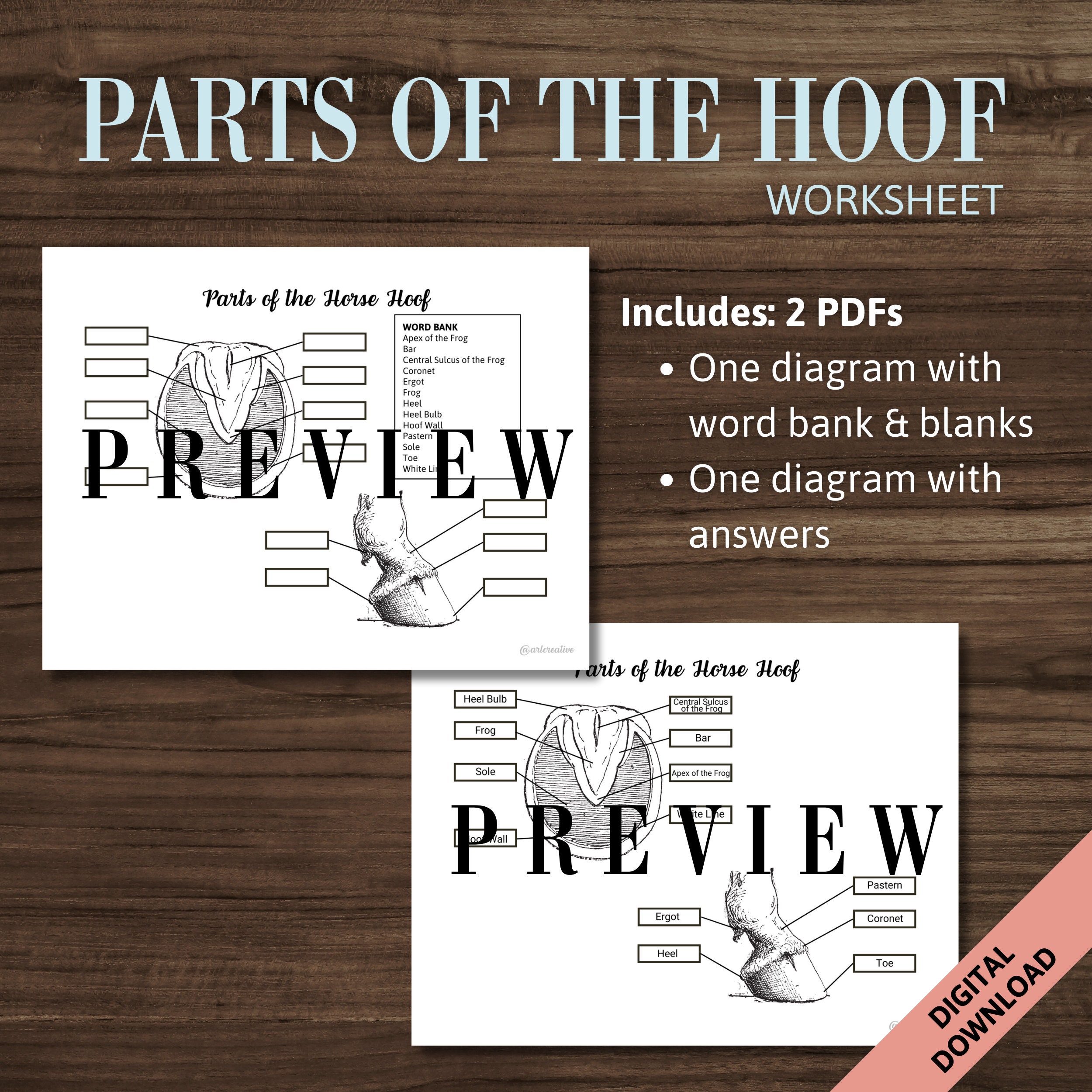 Parts of the Horse Hoof Activity Worksheet Label Horse Foot Equine