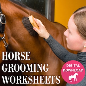 Horse Grooming Worksheets | Pony Grooming Supplies | Horse Camp Activity Worksheet | Horse Labeling Download for Camps, Homeschooling & More