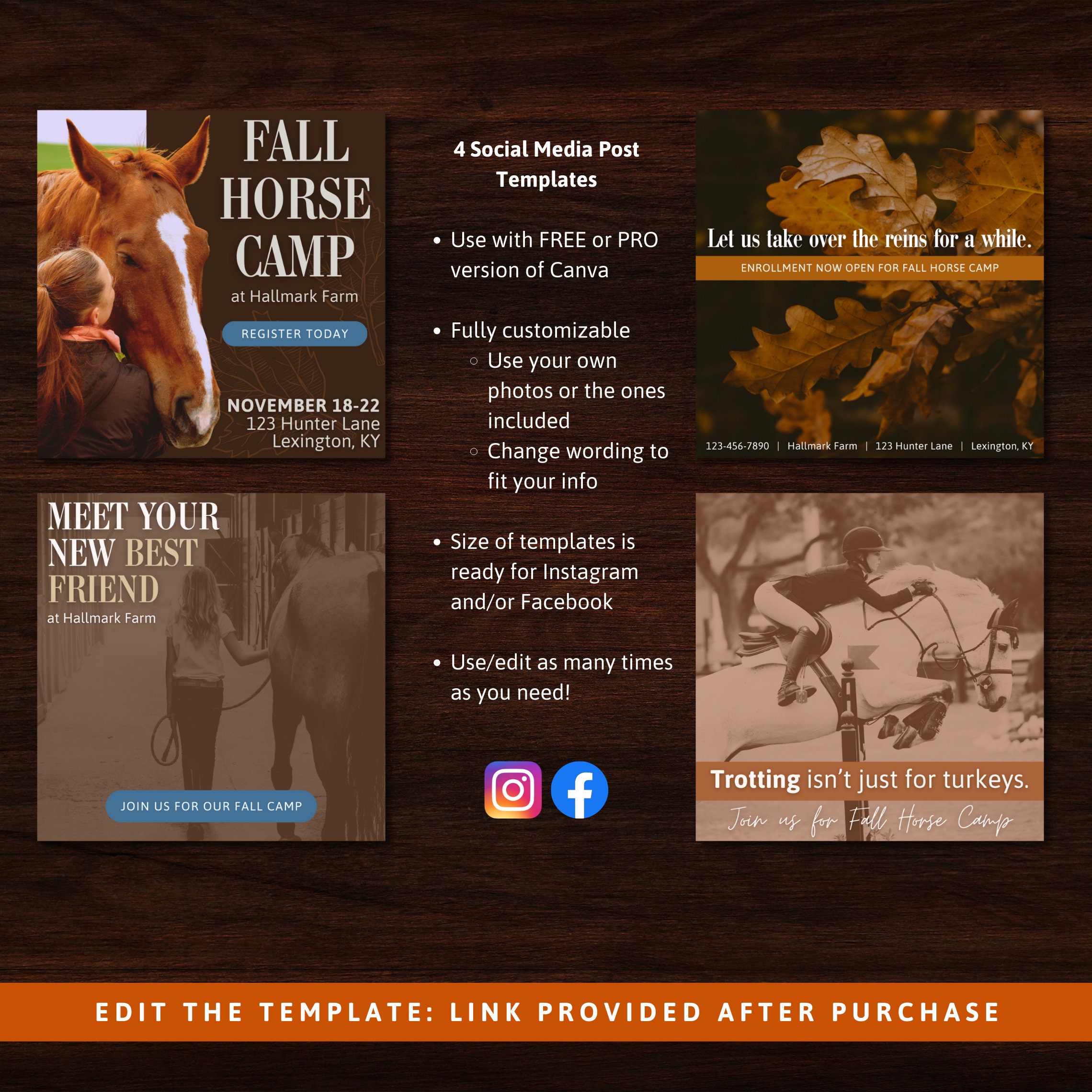 Horse Camp Activity Worksheets Fall Autumn Thanksgiving Break ...