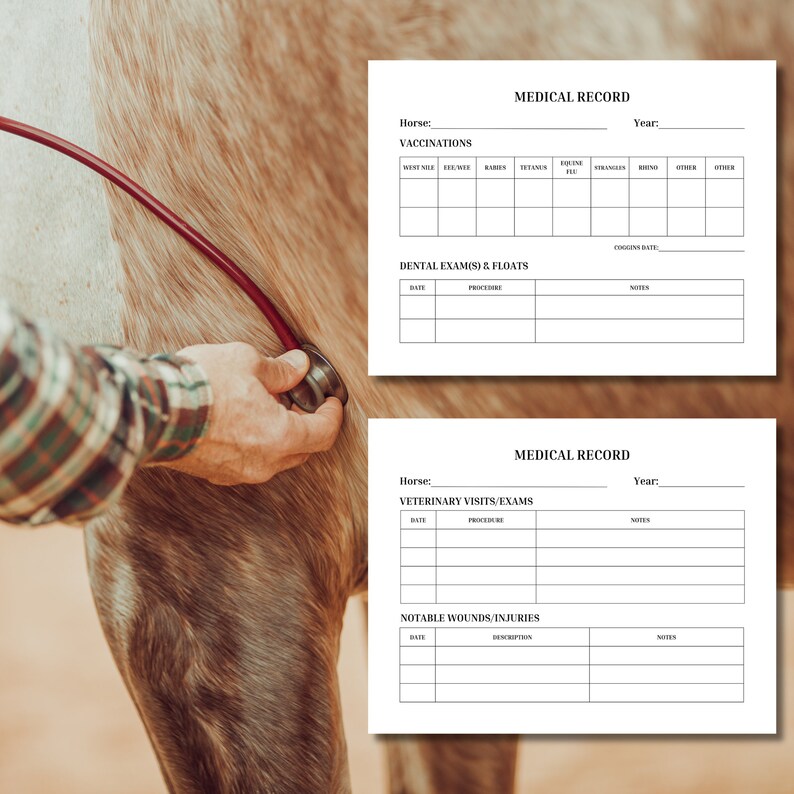 Horse Medical Record Tracking Equine Veterinary Visit Log Vaccination