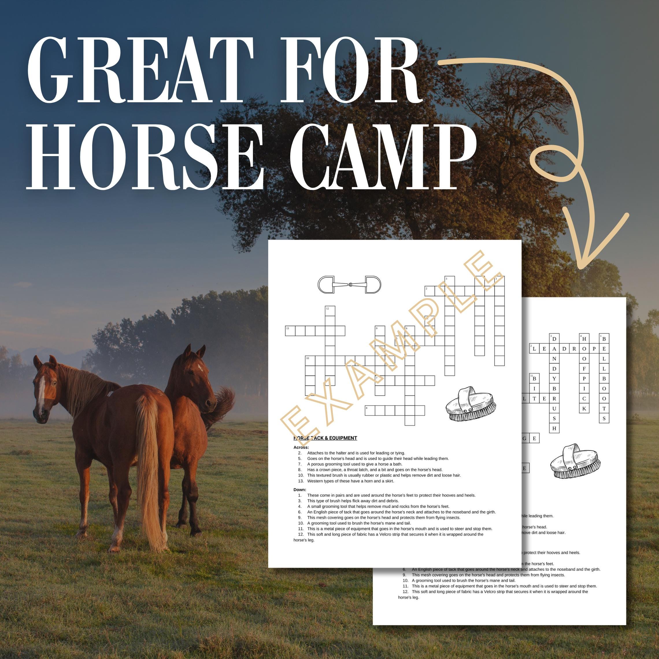 Horse themed Crossword Puzzle Bundle Horse Camp Activity or Game Horse themed Crossword Puzzle Bundle Horse Camp Activity or Game