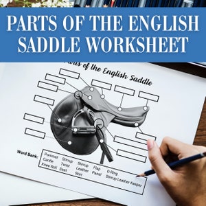 Horse Camp Activity Worksheet | Parts of the English Saddle Worksheet | Label Horse Saddle | Horseback Riding Lesson | Equestrian Homeschool