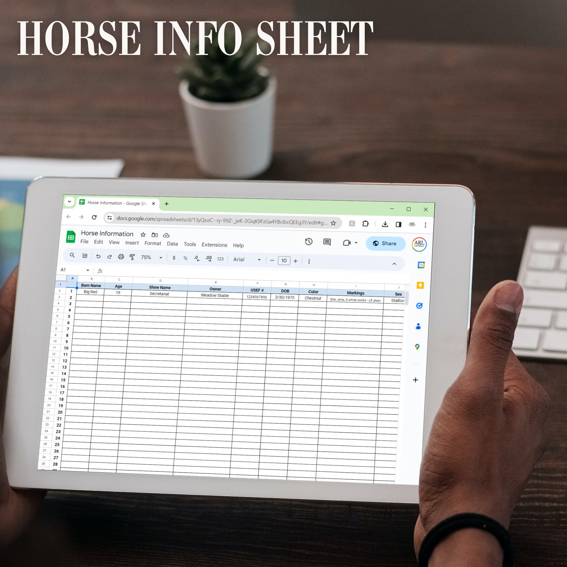 Horse Farm Management Spreadsheet Barn or Stable Organization
