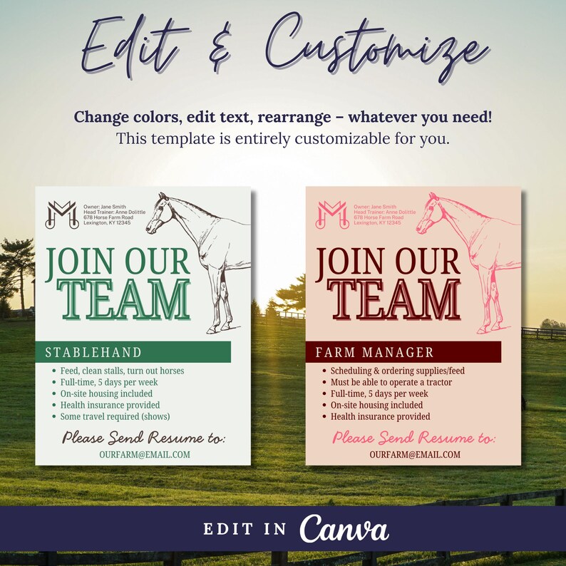 Equestrian Business Hiring Flyer Template | Horse Trainer, Farm ...