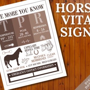 Horse Vital Signs Poster | Barn Emergency Contact Info Sign | Equine Veterinary Fact Reference Sheet | Veterinarian Horse Print | Equine TPR