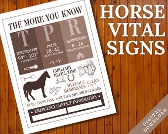 Horse Vital Signs Poster | Barn Emergency Contact Info Sign | Equine Veterinary Fact Reference Sheet | Veterinarian Horse Print | Equine TPR