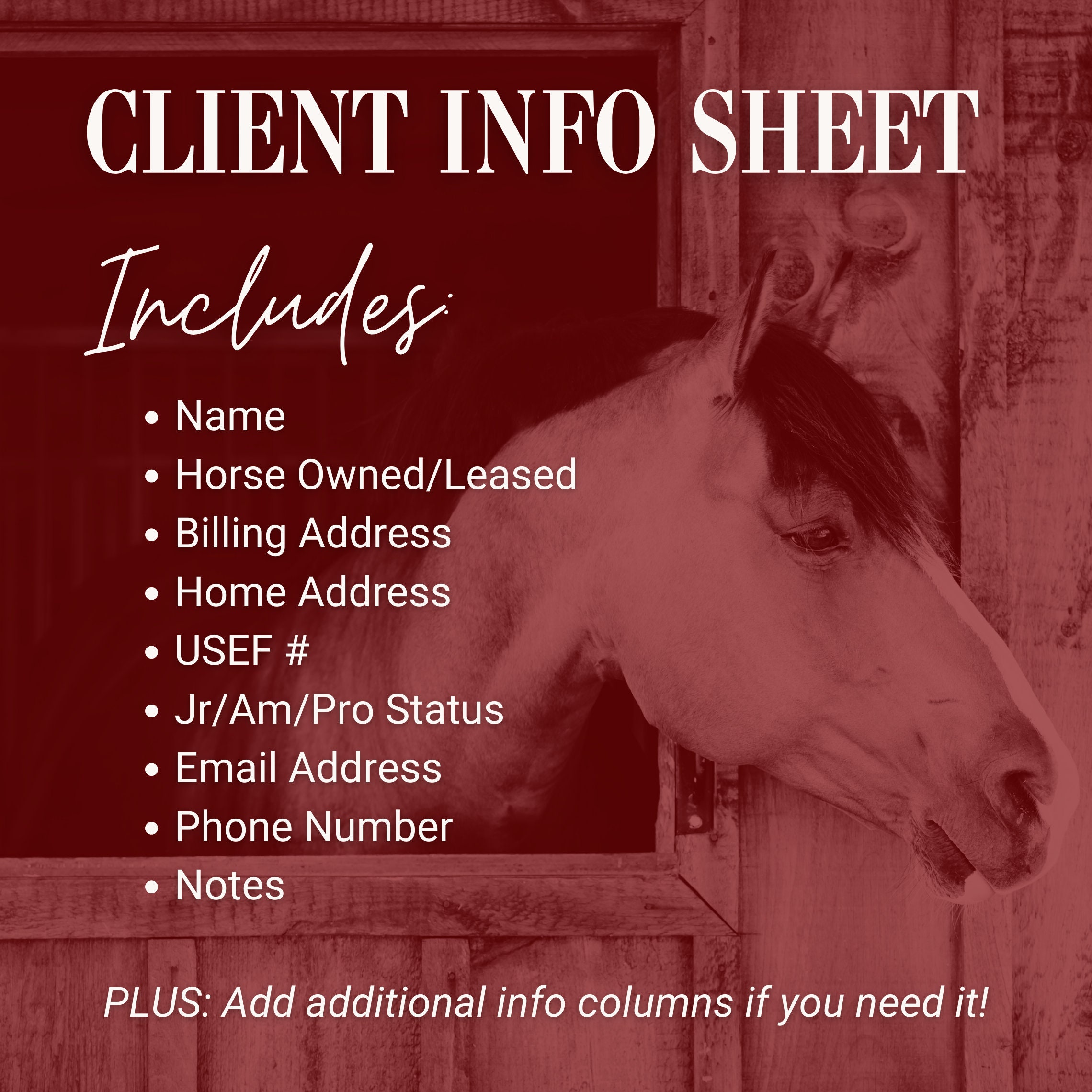 Horse Farm Management Spreadsheet Barn or Stable Organization Equine