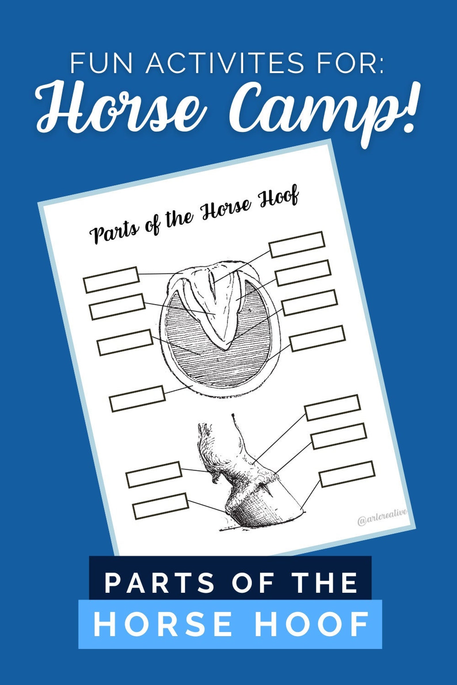 Parts of the Horse Hoof Horse Worksheet Horse Camp Activity Etsy