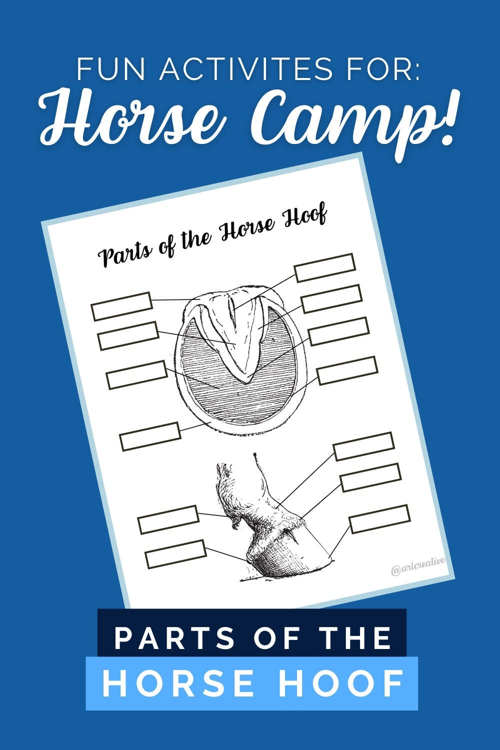 Parts of the Horse Hoof Horse Worksheet Horse Camp Activity Etsy