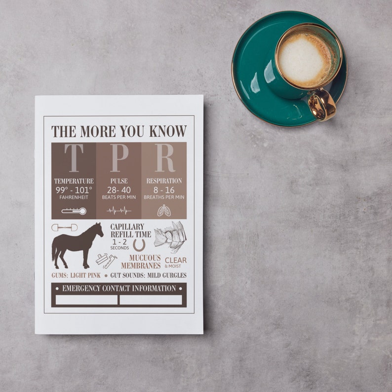 Horse Vital Signs Poster Barn Emergency Contact Info Sign Equine Veterinary Fact Reference Sheet