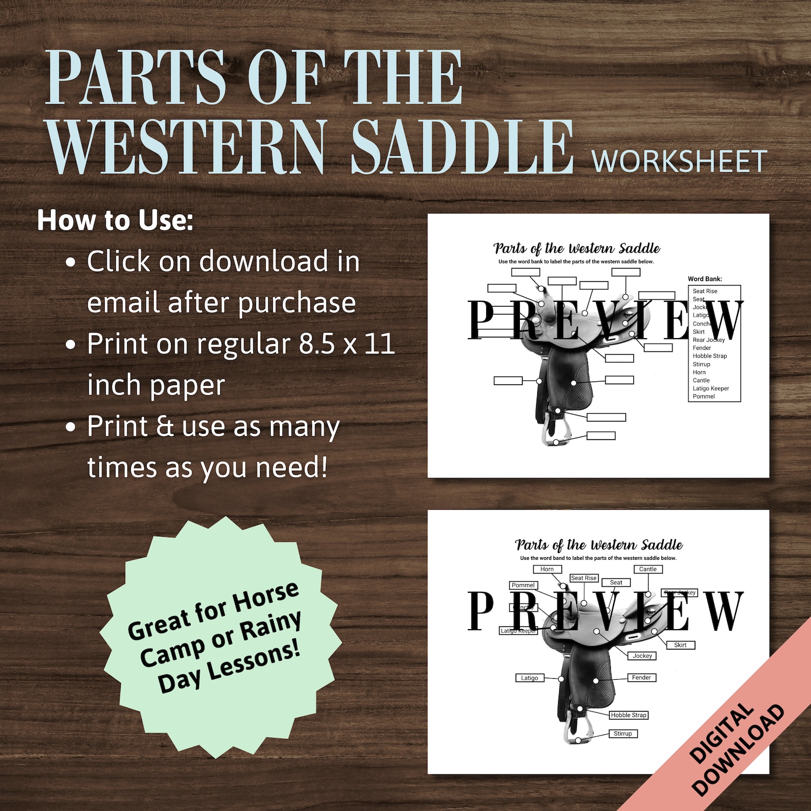 Parts of the Horses Western Saddle | Horse Tack Equipment Label ...