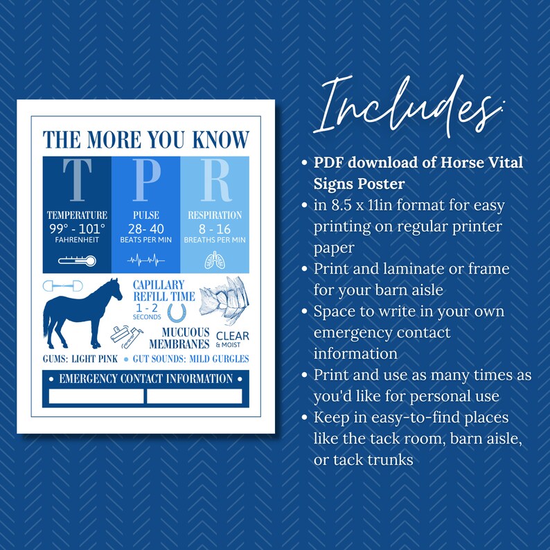Horse Vital Signs Poster Barn Emergency Contact Info Sign Equine Veterinary Fact Reference Sheet