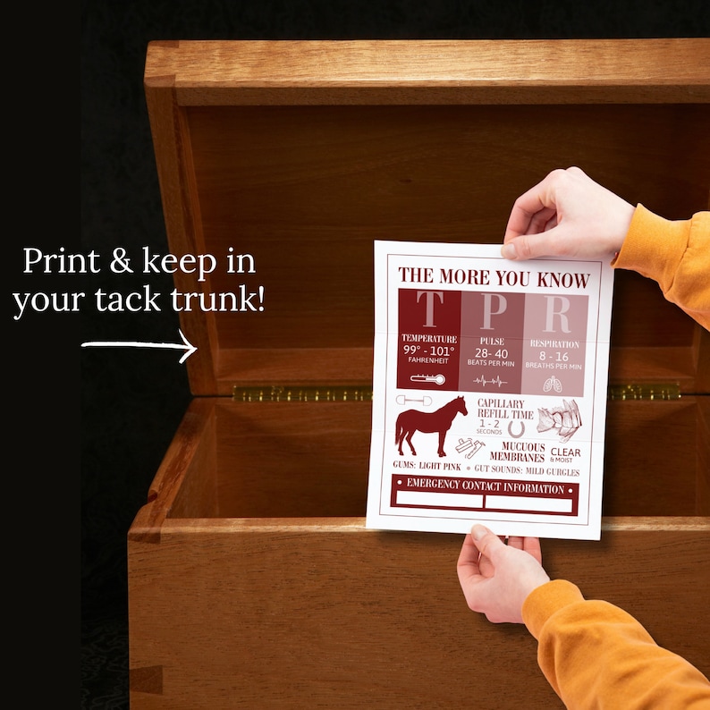 Horse Vital Signs Poster Barn Emergency Contact Info Sign Equine Veterinary Fact Reference Sheet