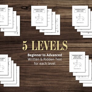 Riding Assessment | Horseback Riding Lessons | Horse Camp | Horseback ...