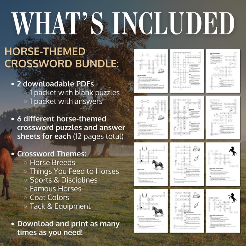 Horse themed Crossword Puzzle Bundle Horse Camp Activity or Game Horse themed Crossword Puzzle Bundle Horse Camp Activity or Game