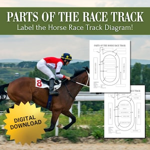 Baandiagram paardenrennen | Label onderdelen van de paardenrenbaan | Volbloed- en Quarter Horse Racing-baan | Activiteitenwerkblad Paardenkamp