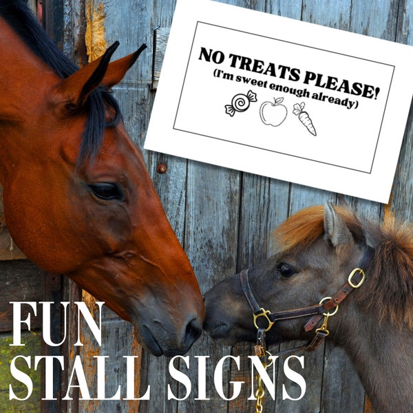 Horse Care Printable | No Treats Horse Sign | Turnout Stall Note | Horse Farm Management | Equine Care Detail for Stable | Horse Owner Hack