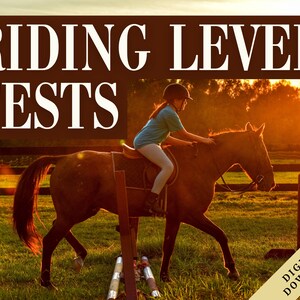 May include: A young person riding a brown horse in a field with a wooden fence and a sunset in the background. The text "RIDING LEVEL TESTS" is at the top of the image and "DIGITAL DOWNLOAD" is at the bottom right corner.