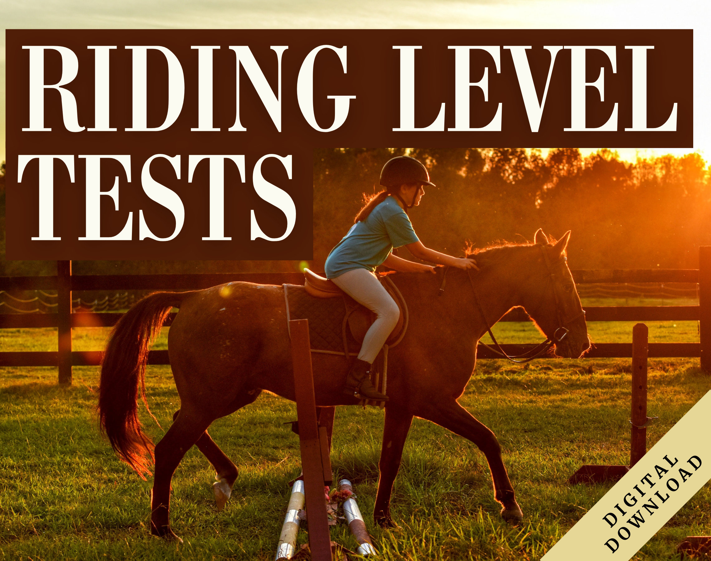 Riding Assessment | Horseback Riding Lessons | Horse Camp | Horseback ...