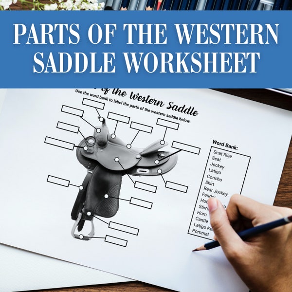 Parts of the Horses Western Saddle | Horse Tack Equipment Label | Equestrian Horse Camp Worksheet Activity | Horse Game Homeschool Print PDF