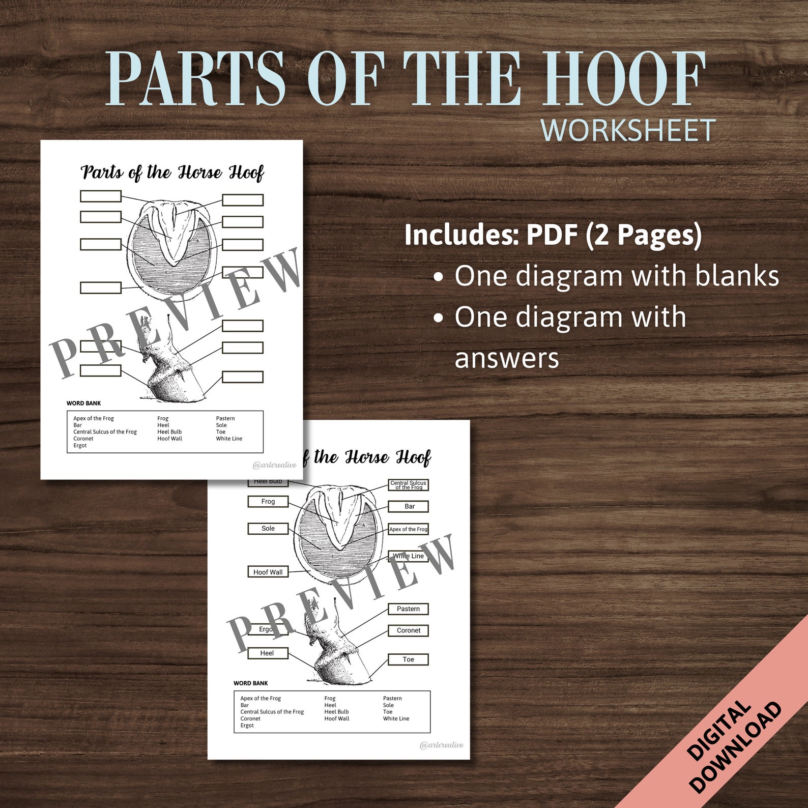 Label Parts of the Horse Hoof Homeschool Download Printable | Horseback ...