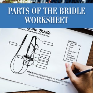 Parts of the Horses Bridle | Label Horse Tack Equipment | Horse Camp Activity Worksheet | Horseback Riding Lesson Plan Equine Homeschool PDF
