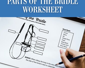 Parts of the Horses Bridle | Label Horse Tack Equipment | Horse Camp Activity Worksheet | Horseback Riding Lesson Plan Equine Homeschool PDF