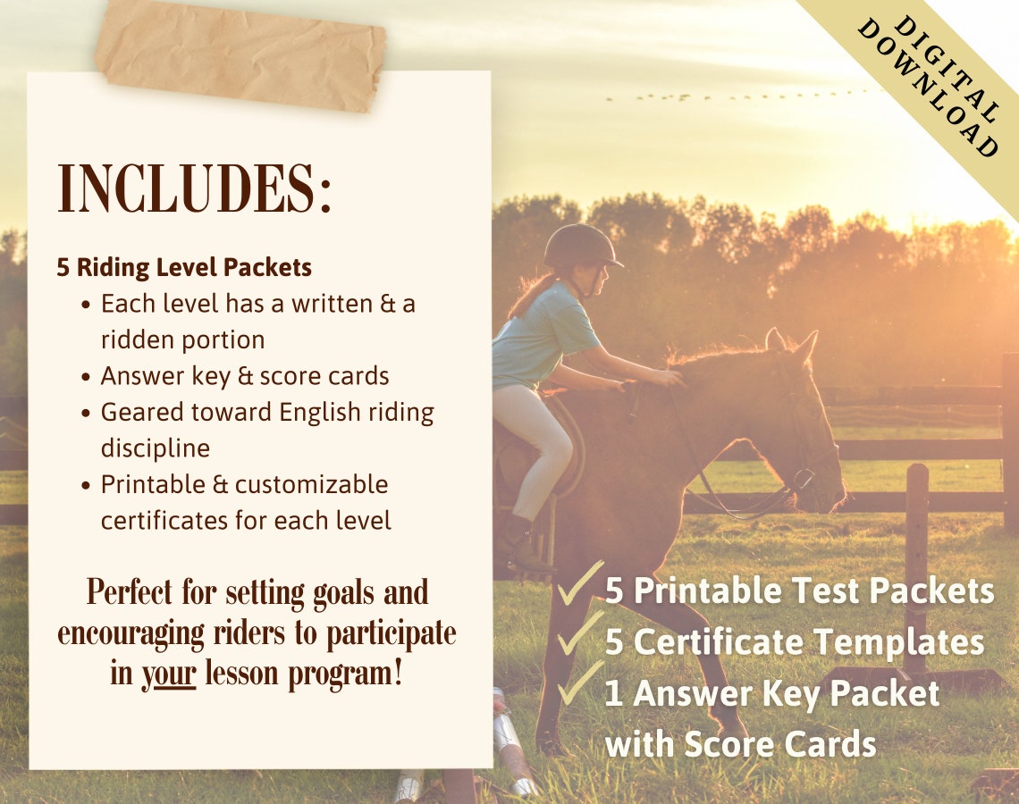 Riding Assessment | Horseback Riding Lessons | Horse Camp | Horseback ...