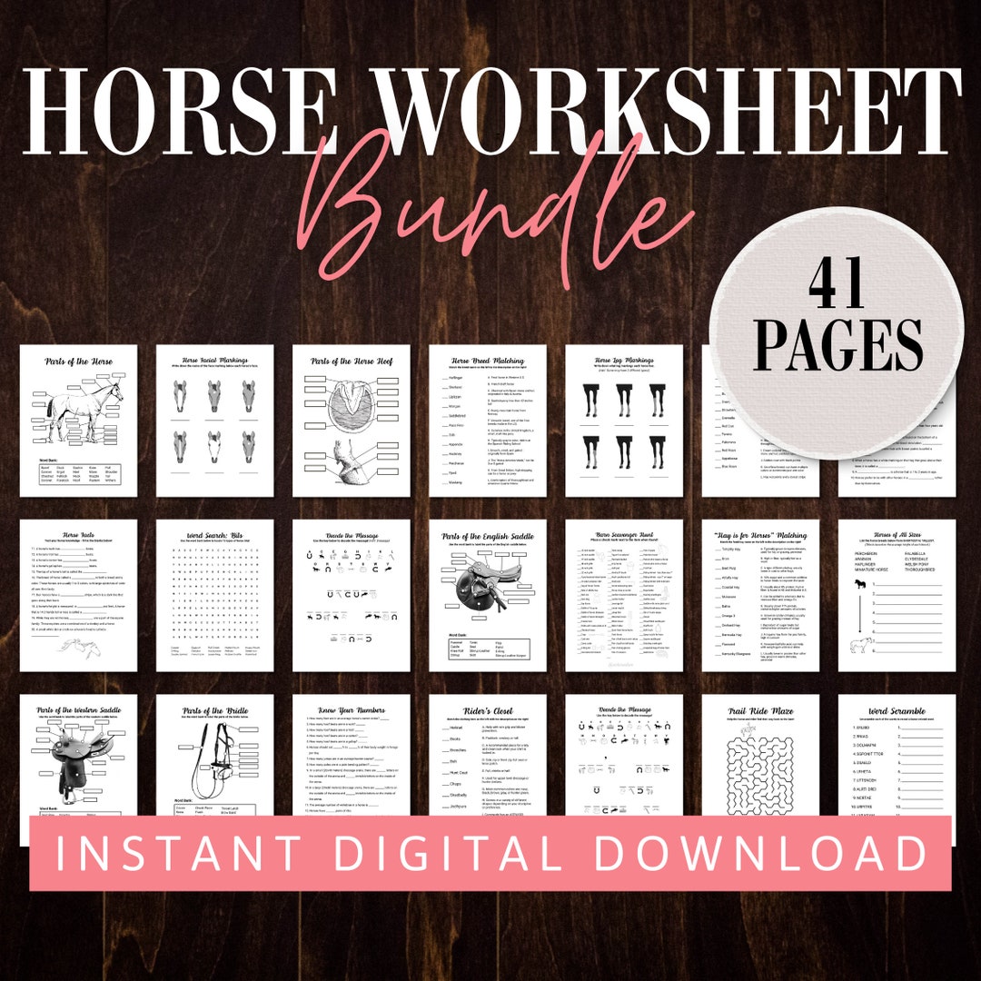 Horse Camp Worksheet Bundle Horseback Riding Lesson Rain Day Activity