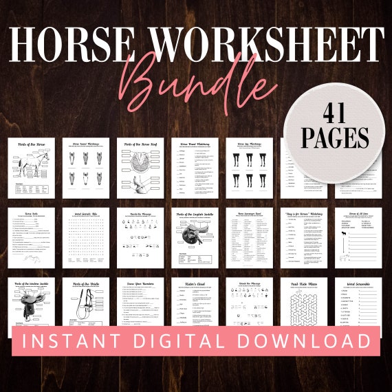Horse Camp Worksheet Bundle | Equestrian Activity Packet (Digital Download)